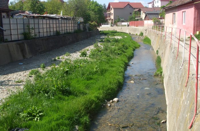 Dejenii afectați de inundații, solicită decolmatarea Văii Salca