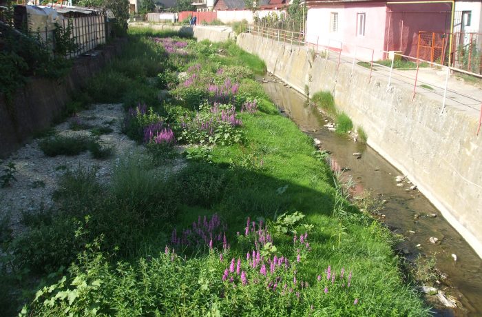 Apa trece… Valea Salcă, rămâne cum o știm!