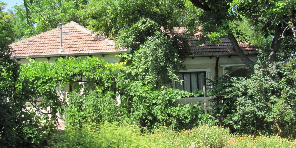 La țară, din cinci case, trei au WC la curte, iar celelalte două au igrasie