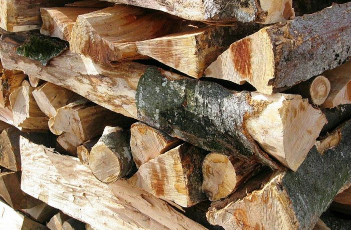 La iarnă, mai puține lemne de foc pentru populație