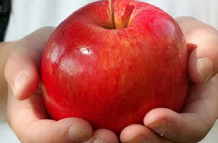 Fructe şi legume proaspete pentru elevi