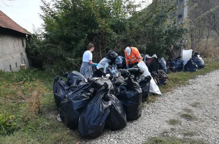 Șase sute de dejeni la acțiunea „Let’s Do It, Romania!”