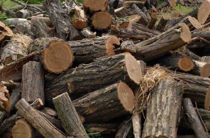 Soluții pentru suplimentarea lemnelor de foc necesare populației