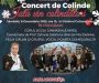 Concert de Colinde ”Iată vin colindători”, la Mica