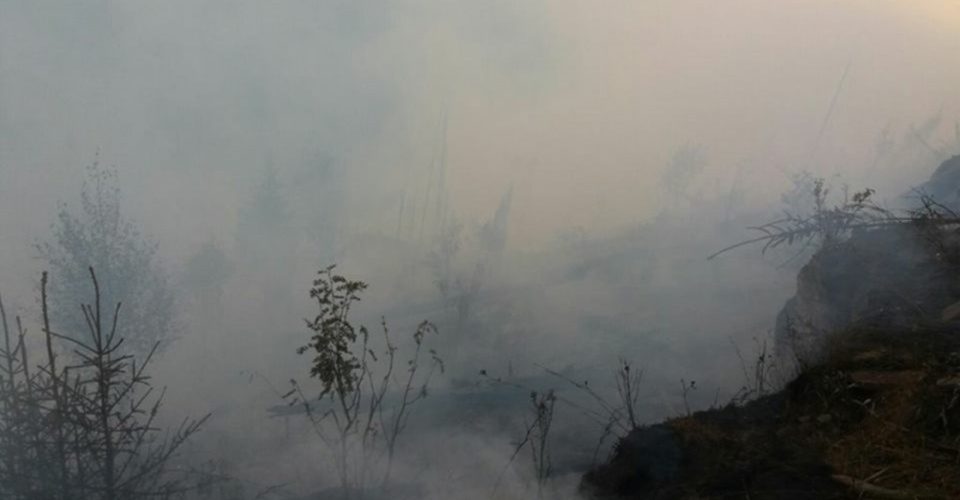 Incendiu de pădure la Băișoara